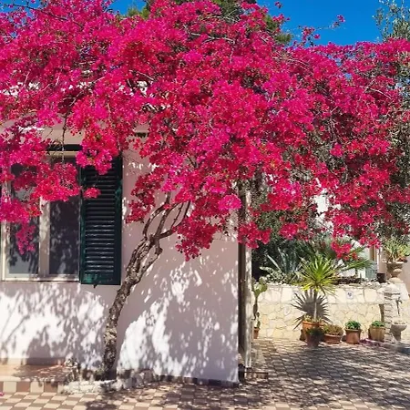 Hotel apartamentowy Maresol 4*