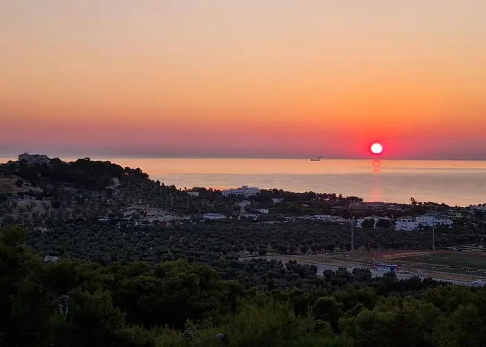 Maresol ヴィエステ