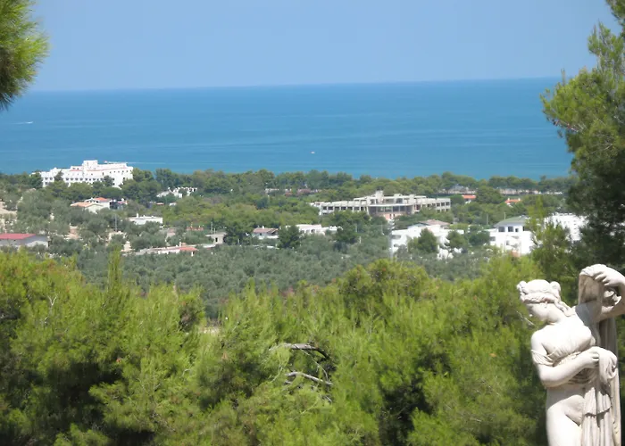 Maresol ヴィエステ